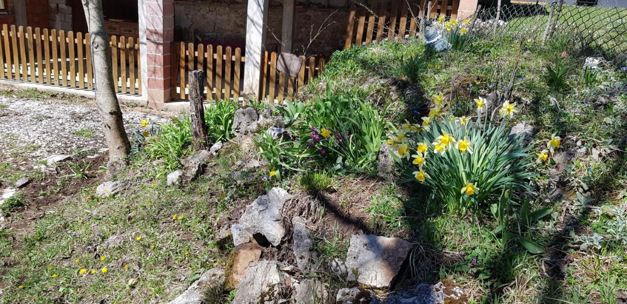 Villa Mirni Kutak Donje Pazariste Exterior foto
